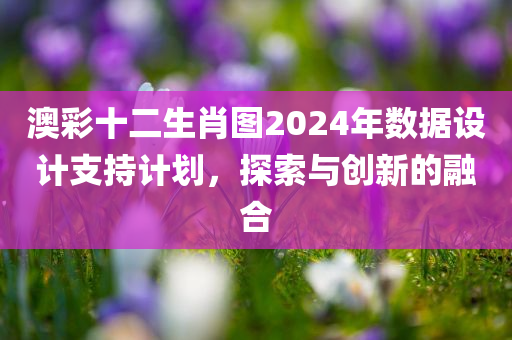 澳彩十二生肖图2024年数据设计支持计划，探索与创新的融合