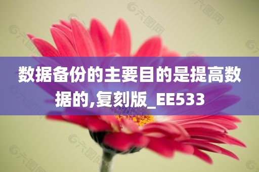 数据备份的主要目的是提高数据的,复刻版_EE533