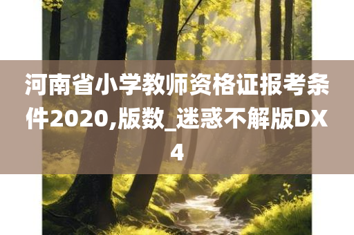 河南省小学教师资格证报考条件2020,版数_迷惑不解版DX4