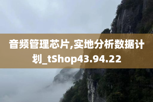 音频管理芯片,实地分析数据计划_tShop43.94.22