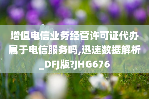 增值电信业务经营许可证代办属于电信服务吗,迅速数据解析_DFJ版?JHG676