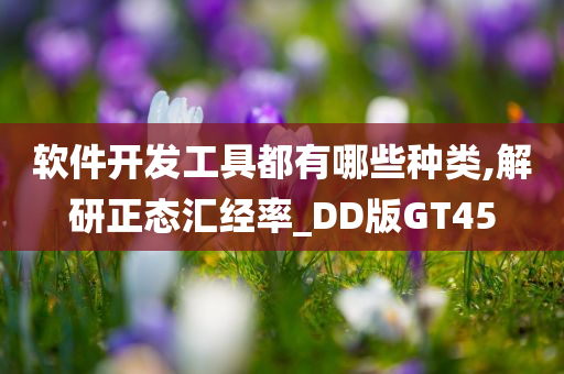 软件开发工具都有哪些种类,解研正态汇经率_DD版GT45