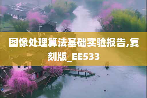 图像处理算法基础实验报告,复刻版_EE533