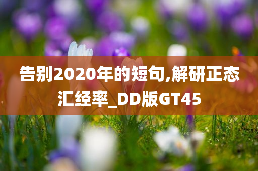 告别2020年的短句,解研正态汇经率_DD版GT45