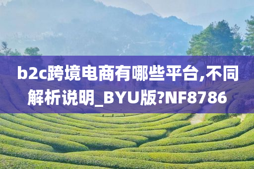 b2c跨境电商有哪些平台,不同解析说明_BYU版?NF8786