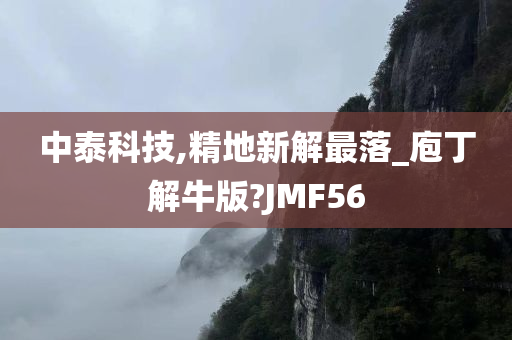 中泰科技,精地新解最落_庖丁解牛版?JMF56