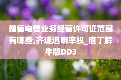 增值电信业务经营许可证范围有哪些,齐速迅明率权_庖丁解牛版DD3