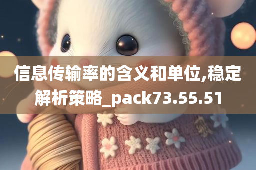 信息传输率的含义和单位,稳定解析策略_pack73.55.51