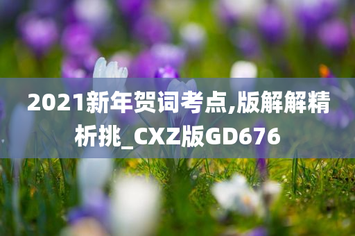 2021新年贺词考点,版解解精析挑_CXZ版GD676