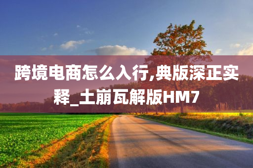 跨境电商怎么入行,典版深正实释_土崩瓦解版HM7