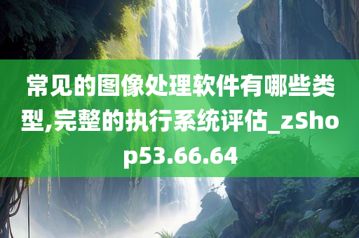 常见的图像处理软件有哪些类型,完整的执行系统评估_zShop53.66.64