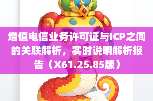 增值电信业务许可证与ICP之间的关联解析，实时说明解析报告（X61.25.85版）