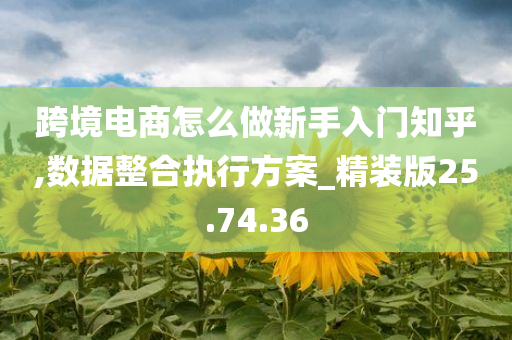 跨境电商怎么做新手入门知乎,数据整合执行方案_精装版25.74.36