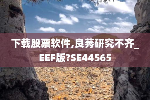 下载股票软件,良莠研究不齐_EEF版?SE44565