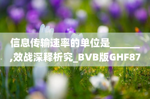 信息传输速率的单位是______,效战深释析究_BVB版GHF87