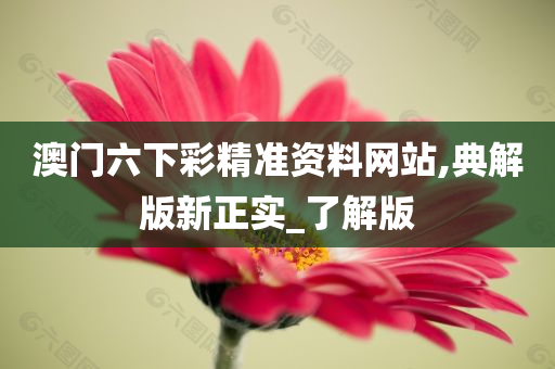 澳门六下彩精准资料网站,典解版新正实_了解版