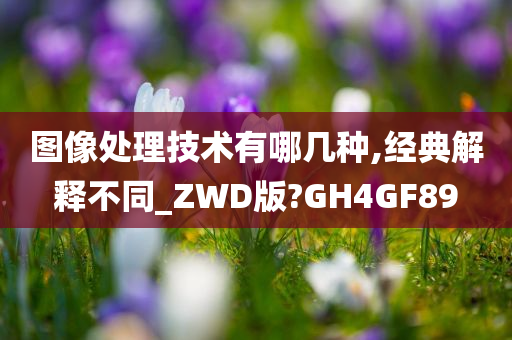 图像处理技术有哪几种,经典解释不同_ZWD版?GH4GF89