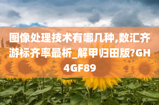 图像处理技术有哪几种,数汇齐游标齐率最析_解甲归田版?GH4GF89