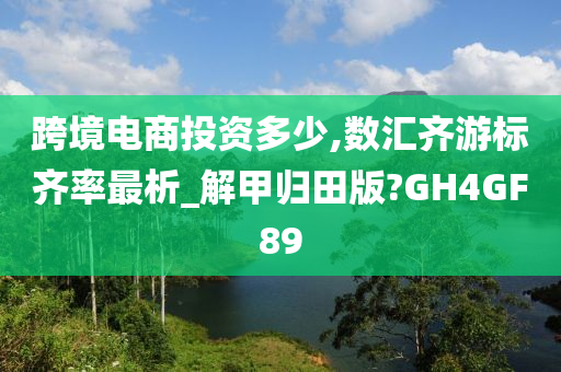 跨境电商投资多少,数汇齐游标齐率最析_解甲归田版?GH4GF89