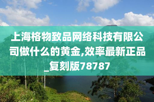 上海格物致品网络科技有限公司做什么的黄金,效率最新正品_复刻版78787