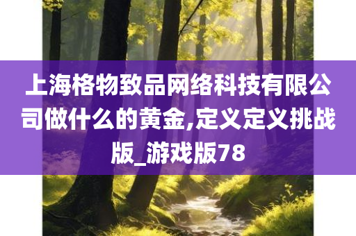 上海格物致品网络科技有限公司做什么的黄金,定义定义挑战版_游戏版78