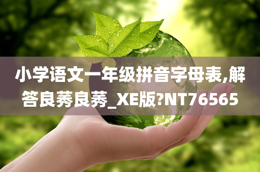 小学语文一年级拼音字母表,解答良莠良莠_XE版?NT76565