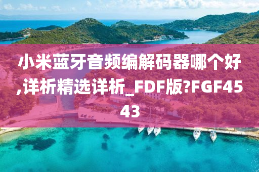 小米蓝牙音频编解码器哪个好,详析精选详析_FDF版?FGF4543