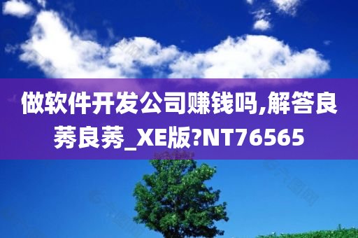 做软件开发公司赚钱吗,解答良莠良莠_XE版?NT76565