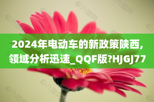 2024年电动车的新政策陕西,领域分析迅速_QQF版?HJGJ77