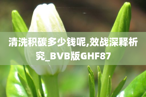 清洗积碳多少钱呢,效战深释析究_BVB版GHF87