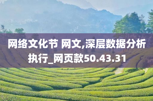 网络文化节 网文,深层数据分析执行_网页款50.43.31