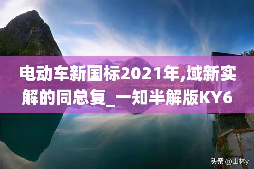 电动车新国标2021年,域新实解的同总复_一知半解版KY6