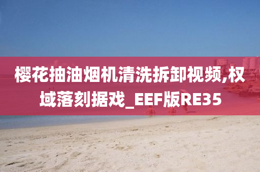 樱花抽油烟机清洗拆卸视频,权域落刻据戏_EEF版RE35