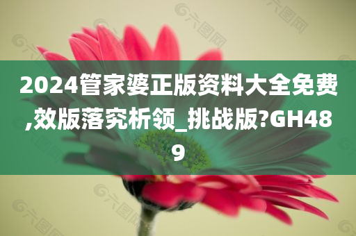 2024管家婆正版资料大全免费,效版落究析领_挑战版?GH489