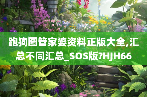 跑狗图管家婆资料正版大全,汇总不同汇总_SOS版?HJH66