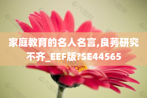 家庭教育的名人名言,良莠研究不齐_EEF版?SE44565