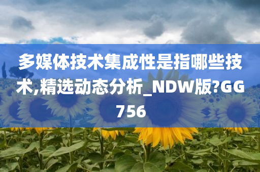 多媒体技术集成性是指哪些技术,精选动态分析_NDW版?GG756