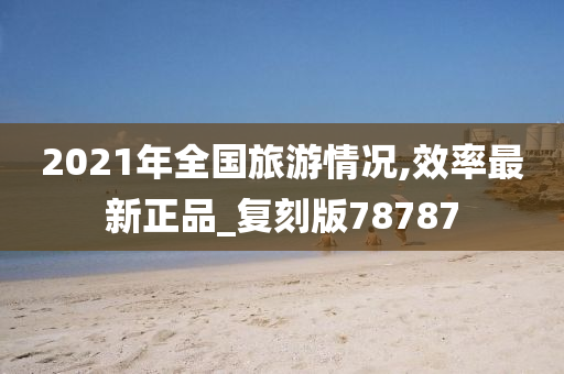 2021年全国旅游情况,效率最新正品_复刻版78787