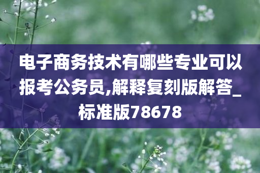 电子商务技术有哪些专业可以报考公务员,解释复刻版解答_标准版78678