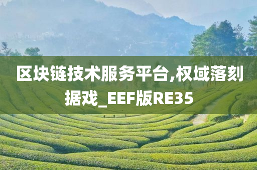 区块链技术服务平台,权域落刻据戏_EEF版RE35