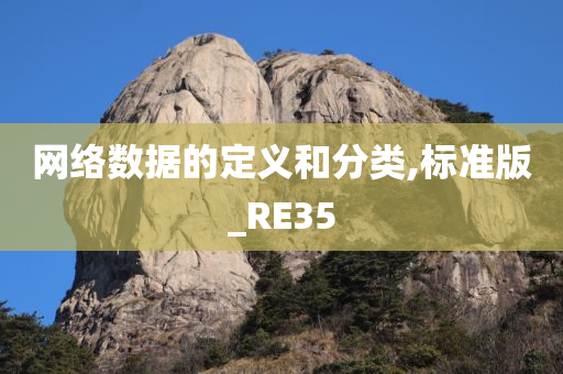 网络数据的定义和分类,标准版_RE35