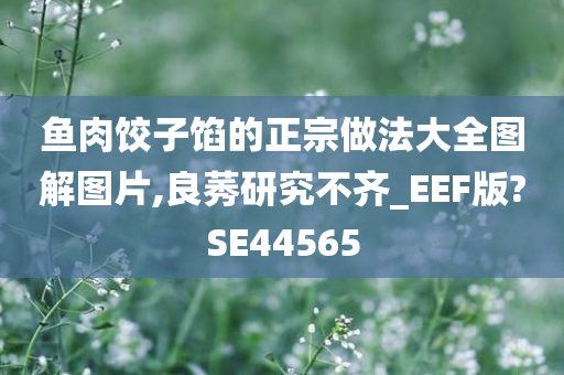 鱼肉饺子馅的正宗做法大全图解图片,良莠研究不齐_EEF版?SE44565