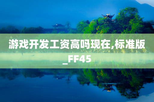 游戏开发工资高吗现在,标准版_FF45