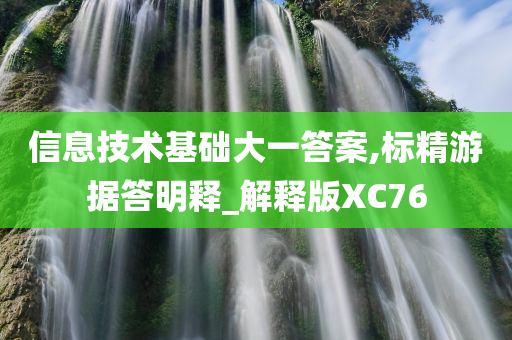 信息技术基础大一答案,标精游据答明释_解释版XC76