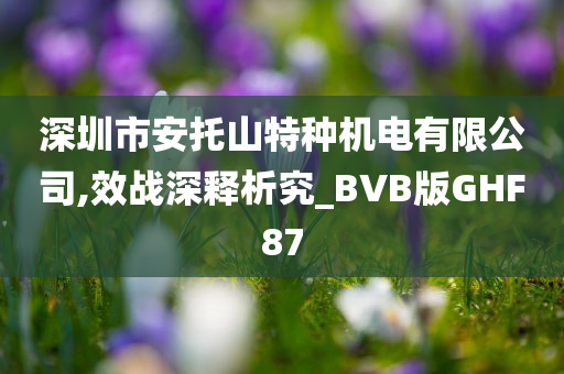 深圳市安托山特种机电有限公司,效战深释析究_BVB版GHF87