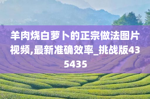 羊肉烧白萝卜的正宗做法图片视频,最新准确效率_挑战版435435