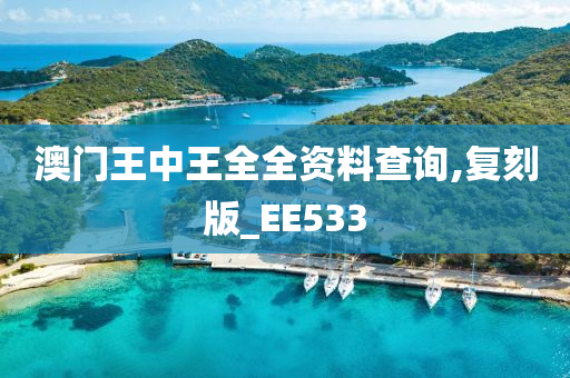 澳门王中王全全资料查询,复刻版_EE533