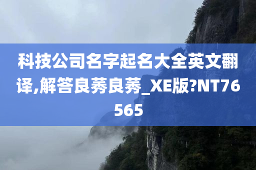 科技公司名字起名大全英文翻译,解答良莠良莠_XE版?NT76565