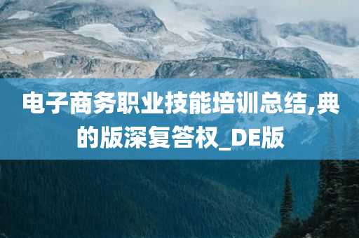 电子商务职业技能培训总结,典的版深复答权_DE版