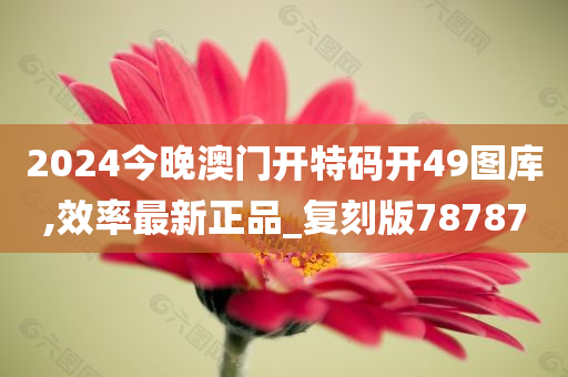 2024今晚澳门开特码开49图库,效率最新正品_复刻版78787